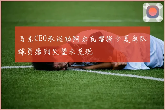 马竞CEO承诺助阿尔瓦雷斯今夏离队球员感到失望未兑现